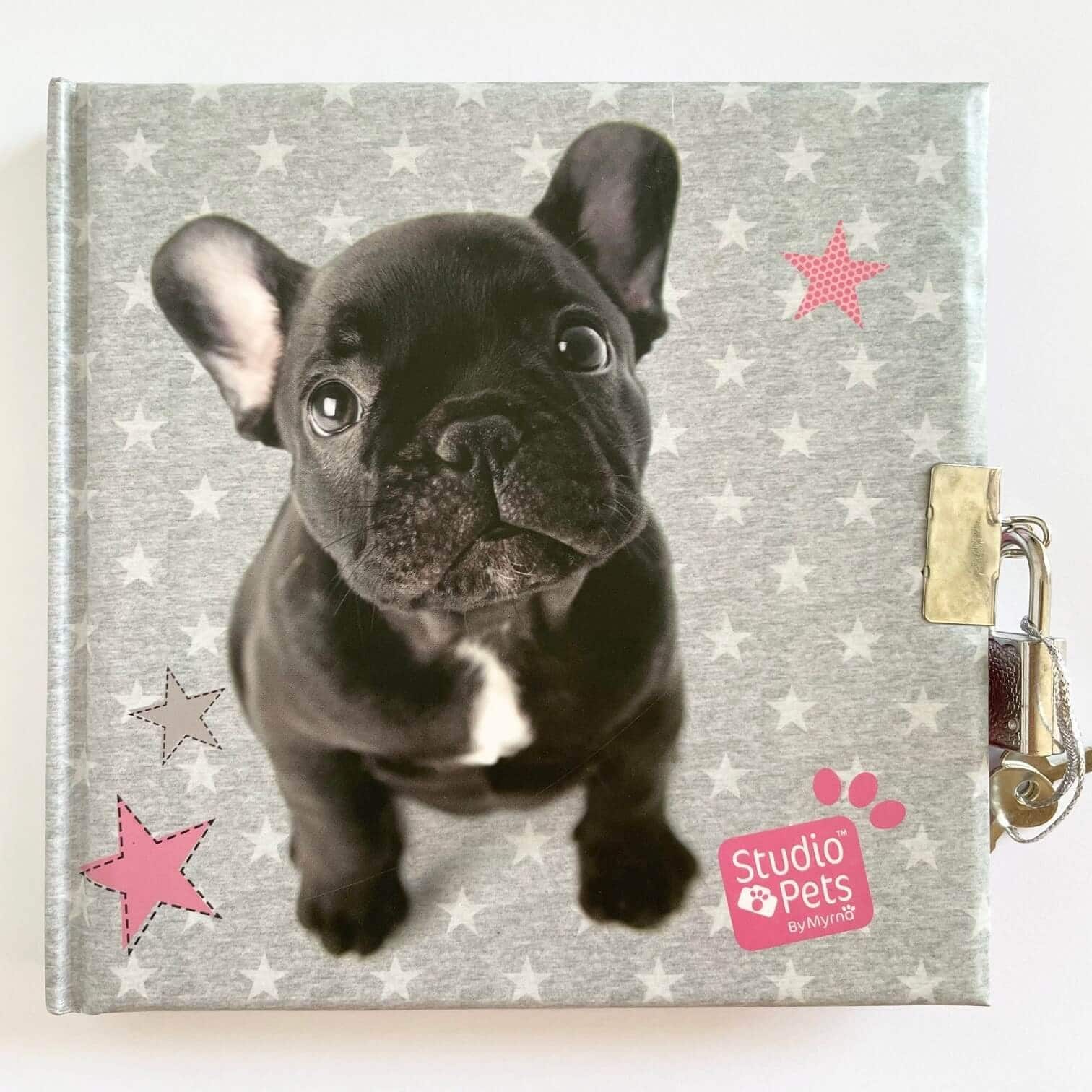 Journal Intime Avec Cadenas à Code Pour Fille - Coffret Cadeau Complet - Pour 7 à 14 Ans - Idéal Noël, Anniversaire