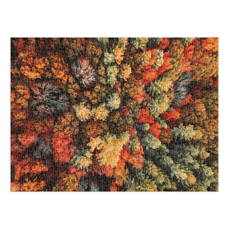 Puzzle 1000 Pièces Adulte - Thème Automne - Décoration Murale 50x70 Cm - Cadeau Relaxant Et Défi Intellectuel