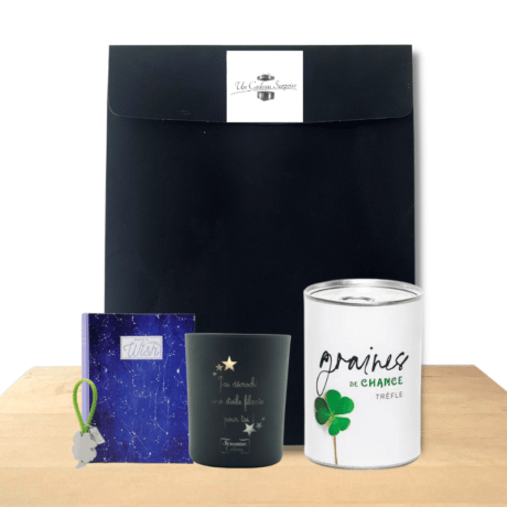 Jouet Pochette Surprise Finies les Grasses Mat